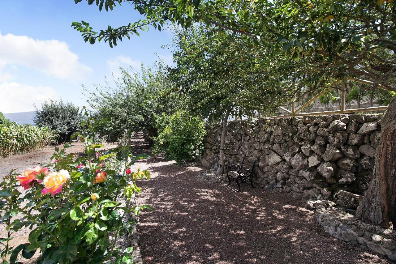 Finca Las Carmenes Icod De Los Vinos Exterior foto